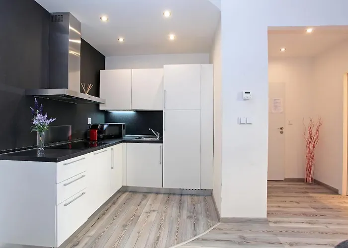 House - The Modern Flat Apartamento Praga